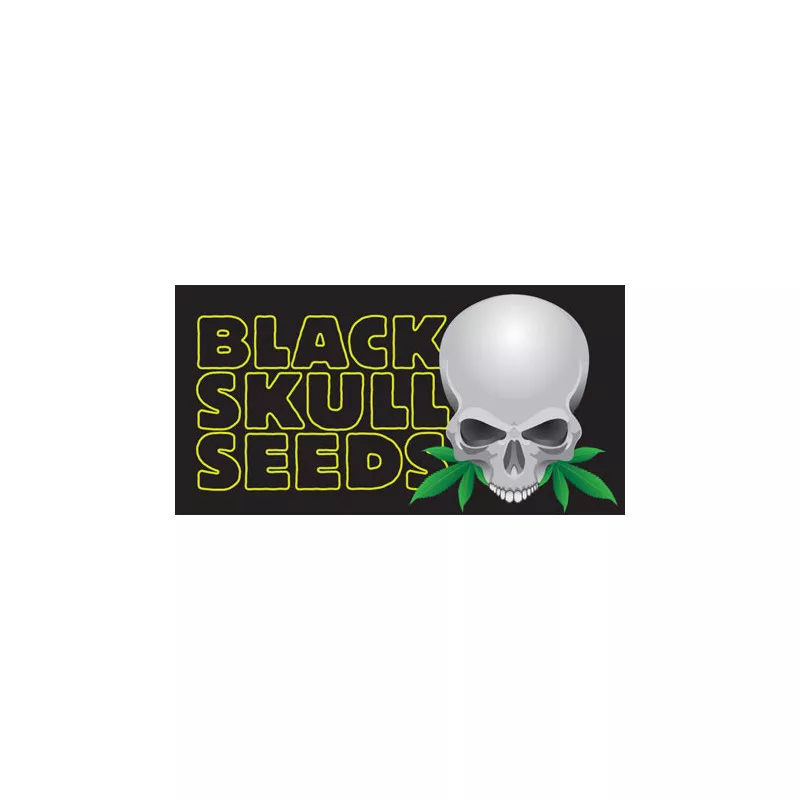Blackskull Auto Zkittlez