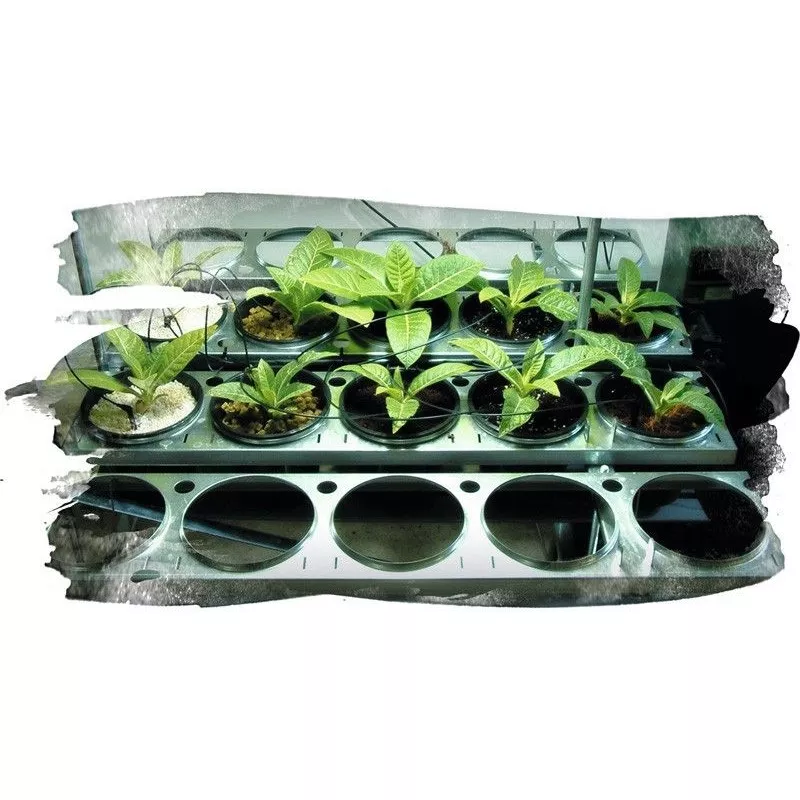 Sistema de Cultivo IGS