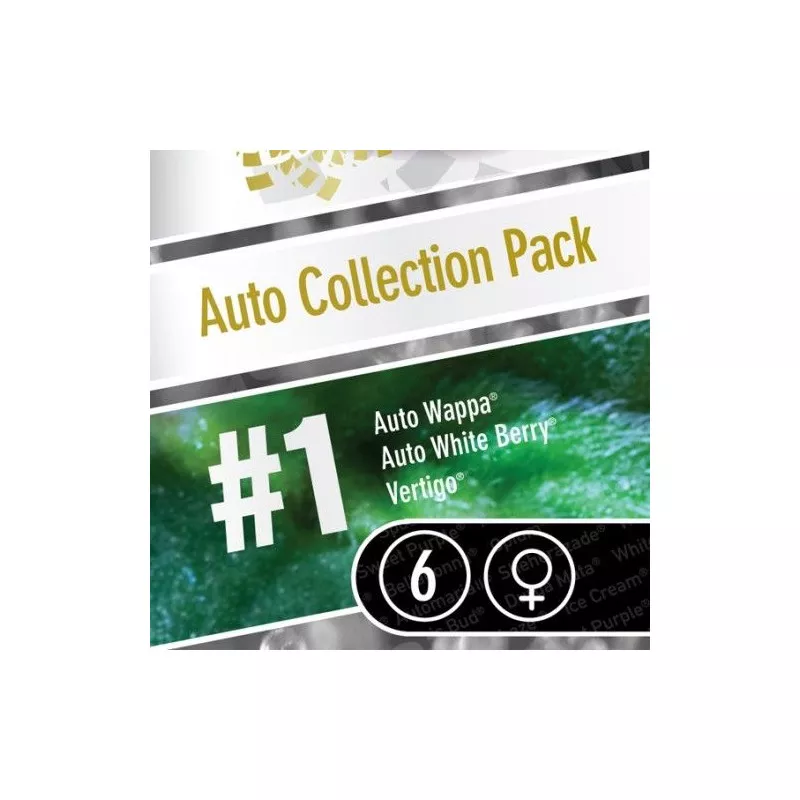 Auto Collection pack 1