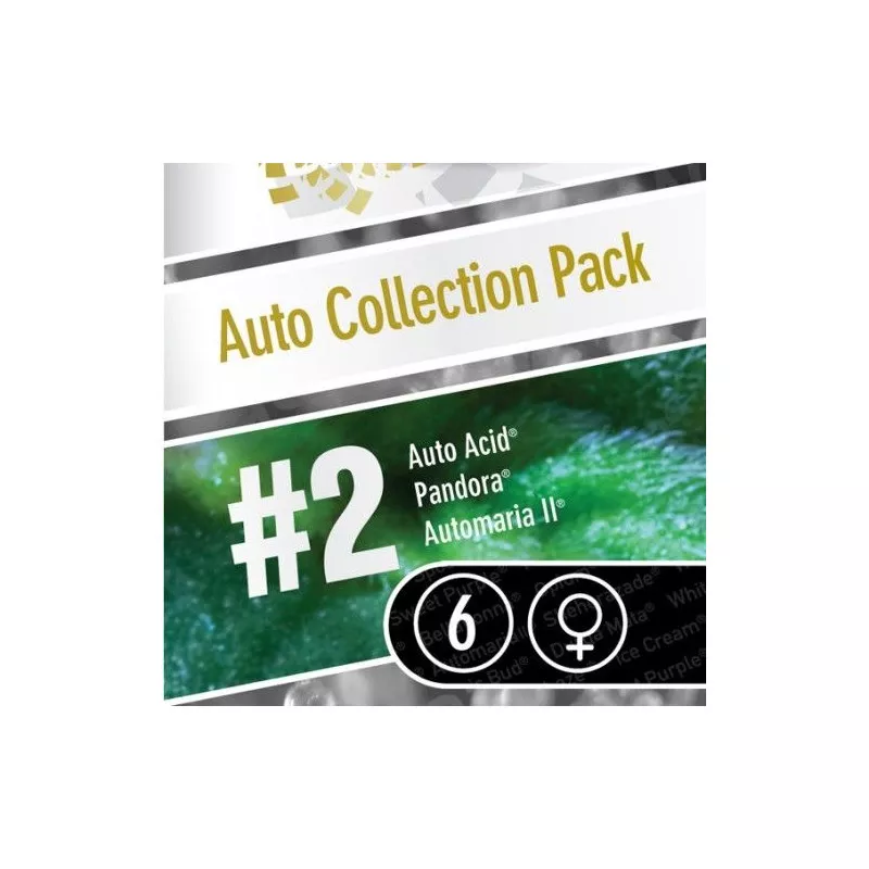 Auto Collection pack 2