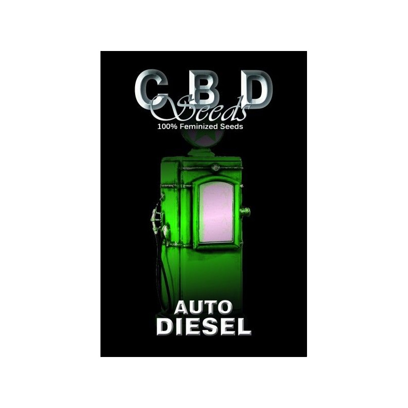Auto Diesel Auto Diesel