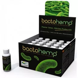Bactohemp-organismos-beneficiosos