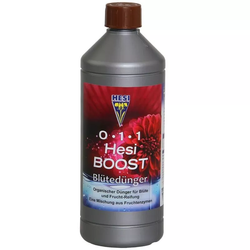 Hesi Boost