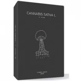 Cannabis Sativa L.