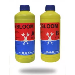 Coco Bloom A+B