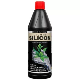 Liquid Silicon