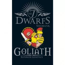 Goliath