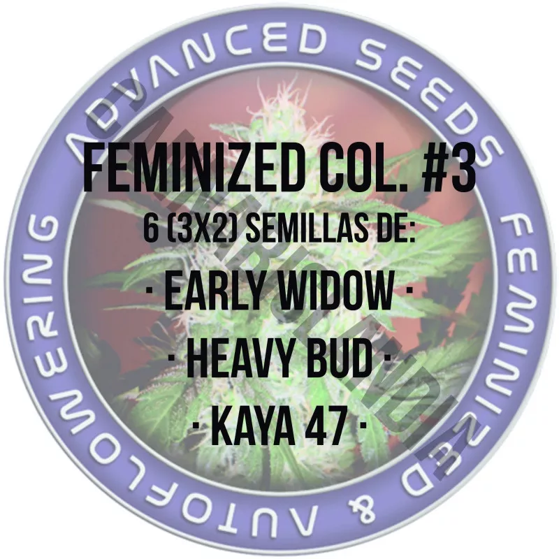 Feminized Col. 3