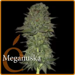 Meganuska