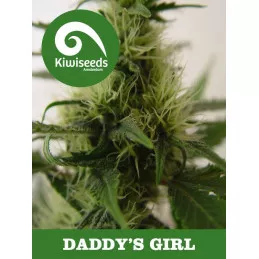 Daddys Girl