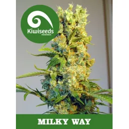 Milkyway