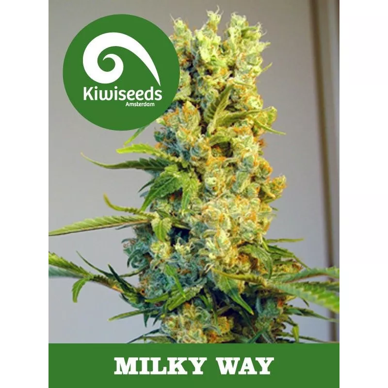 Milkyway