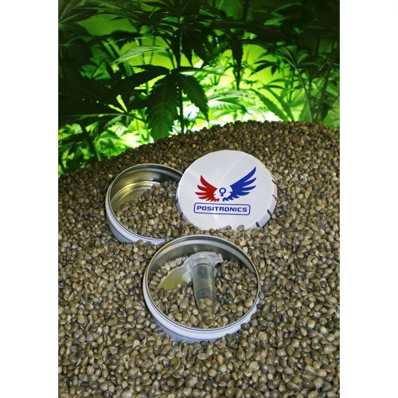 Colección Sativa