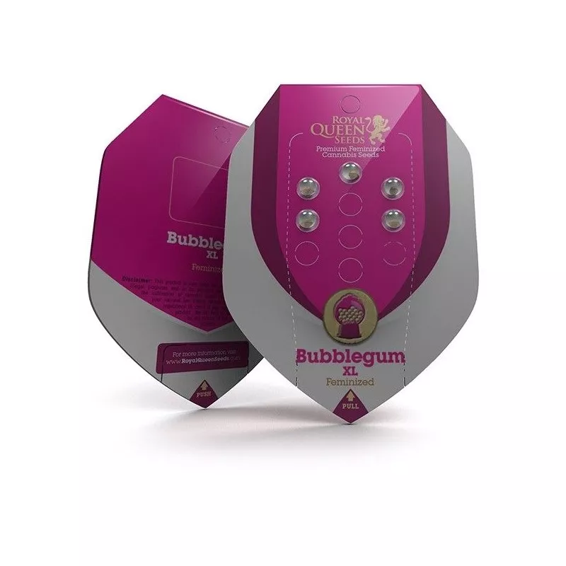 Bubble Gum XL