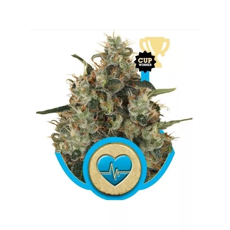 Medical Mass