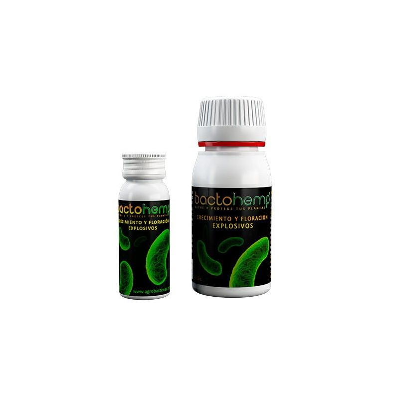 Bactohemp-agrobacterias Bactohemp-agrobacterias