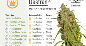 Descubre la nueva Desfrán, última novedad de Dutch Passion