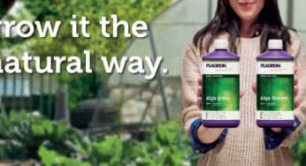 Plagron crea nuevas fórmulas para Alga Grow y Alga Bloom