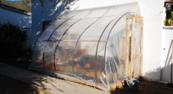 Consejos para cultivar marihuana de exterior en invierno