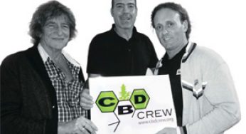 CBD Crew Seeds amplia su catálogo de semillas medicinales