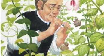 Leyes de Mendel explicadas para que las entienda hasta un niño