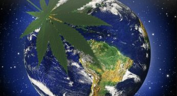 10 países donde el cultivo o consumo de marihuana es legal
