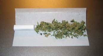 Maneras de fumar marihuana, descubre cuales son las mejores