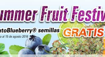 Summer Fruit Festival de Dutch Passion en Cannabislandia