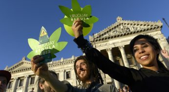 Así es como será la venta de marihuana legal en Uruguay