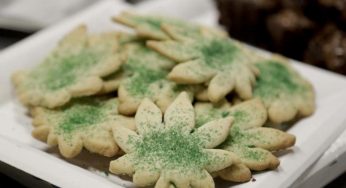 Galletas de marihuana y chocolate, deliciosa y rápida receta