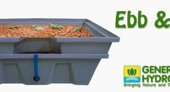 Nueva bandeja de cultivo Ebb & Flow de General Hydroponics