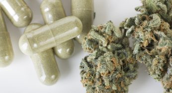 La marihuana medicinal a lo largo de la nuestra historia