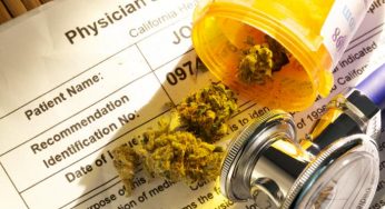10 enfermedades comunes que se pueden tratar con marihuana