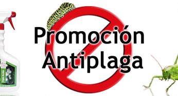 Descubre nuestra promoción Anti-Plaga en Cannabislandia