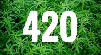10 famosos nacidos el 4/20 día internacional de la marihuana