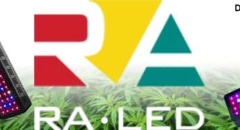 Nuevos paneles RA-LED para cultivar marihuana en interior