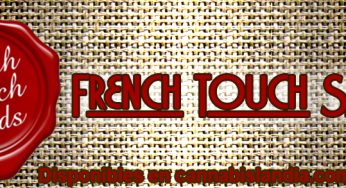 Semillas de French Touch Seeds, novedad en Cannabislandia