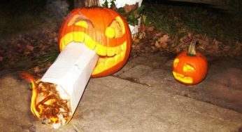 10 terroríficas variedades de marihuana para este Halloween