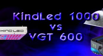 KindLed 1000 vs HPS 600W: Episodio final y conclusiones