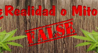 10 mitos de la marihuana más extendidos y que son falsos