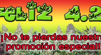 ¡Celebra el Día Internacional de la Marihuana con nosotros!