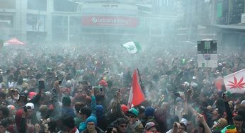 Día Internacional de la Marihuana