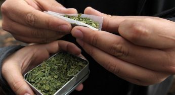 ¿Cuánto duran los efectos de la marihuana en el cuerpo?