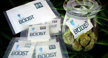 Integra Boost, novedoso sistema auto-regulador de la humedad