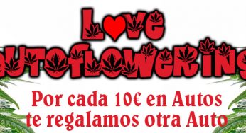 Descubre la promoción Love AutoFlowering en Cannabislandia