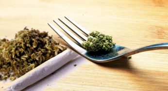 ¿Fumar o comer marihuana? Descubre ahora las diferencias