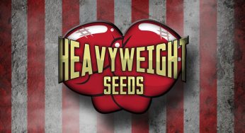 Geniales novedades del banco de semillas Heavyweight Seeds