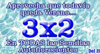 3×2 En Todas las Semillas Autoflorecientes de Cannabislandia