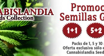 Promoción Semillas Gratis de Cannabislandia Seeds Collection