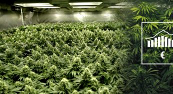 Ahorrar electricidad en el cultivo con 9 prácticos consejos